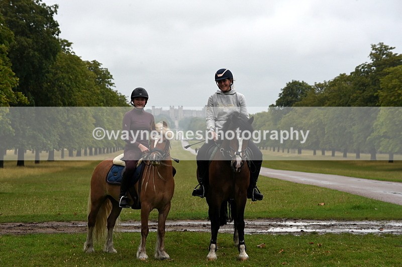 TT3_8114 - Time at Crossing 09:15 to 10:15