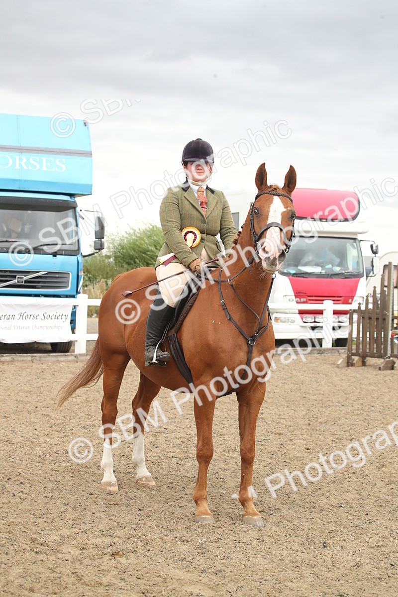 SBM_18479 - Class 510a - Working Veteran 90cm (15-19)