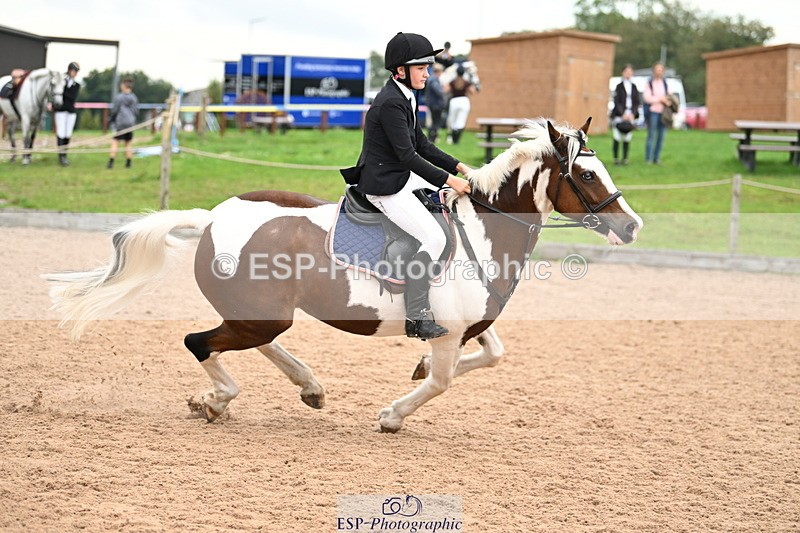 240907A-131050-01897 - Cls 3 Pony Medium Team 80cm & 90cm