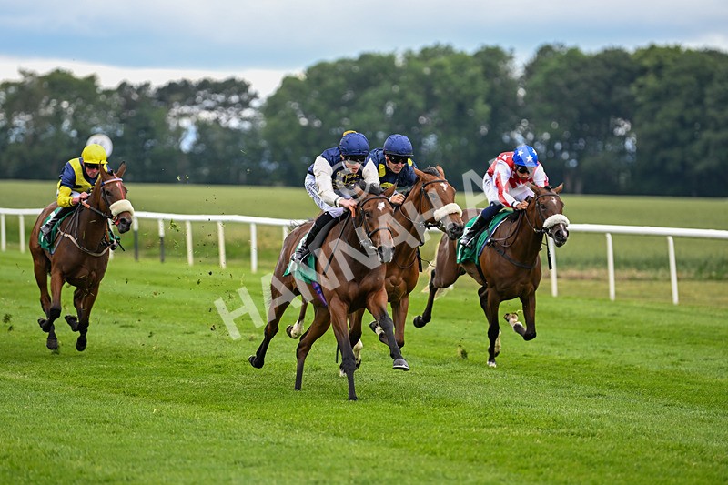 170625-Race 1-Royal Fixation-4330 - Race 1