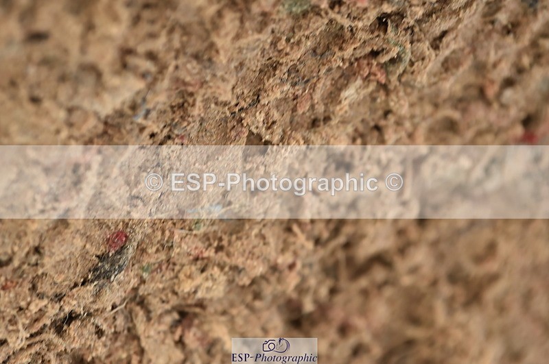 231029A-132812-03504 - Children on Horses 1.05m & 1.10m