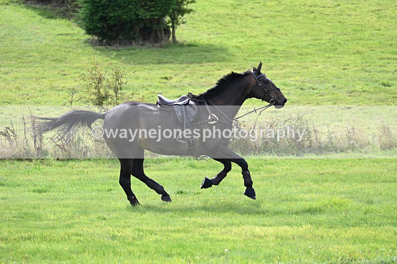 WJ7_7431 - Time 13:21 to 13:29