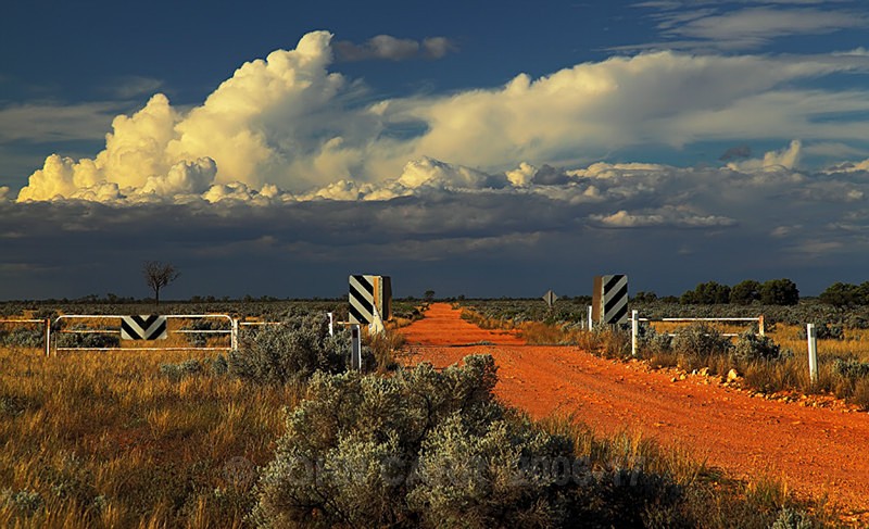 Canopus Chase1-9900 - COUNTRY SCENES PHOTOS