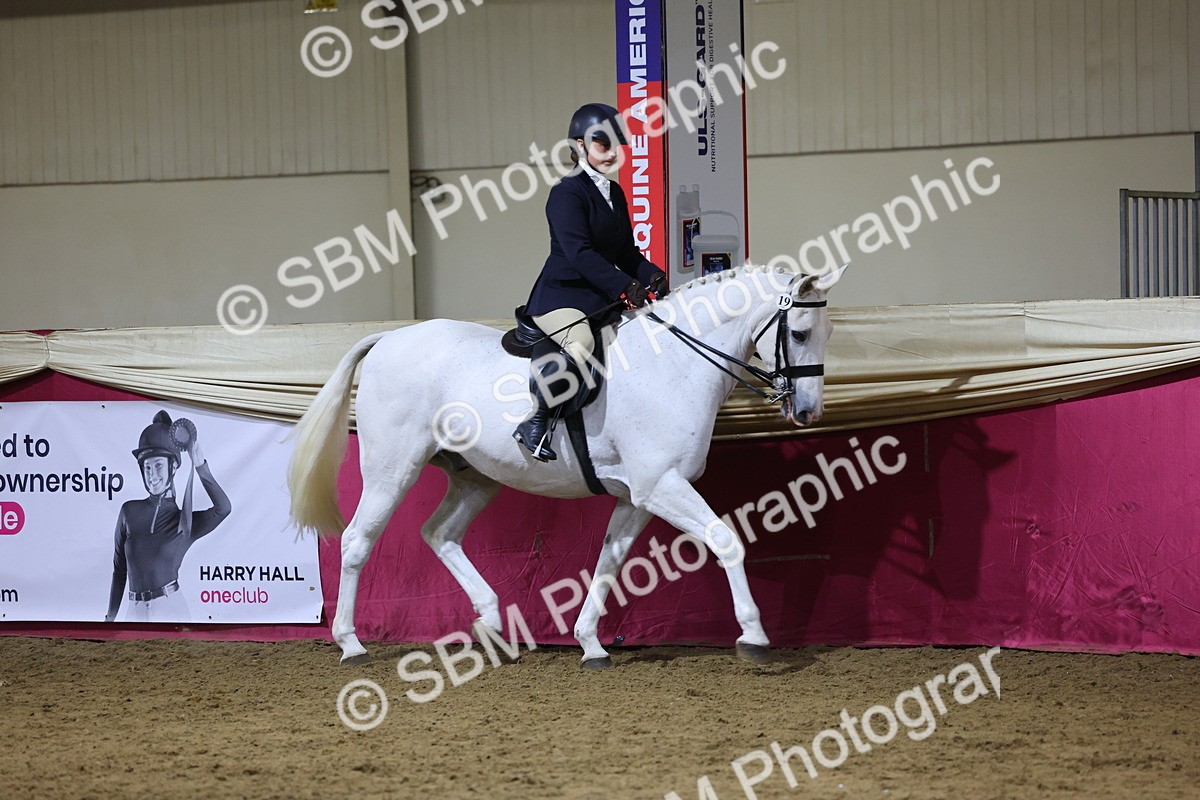 0B8A4444 - Class O Ridden Show Horse Champ