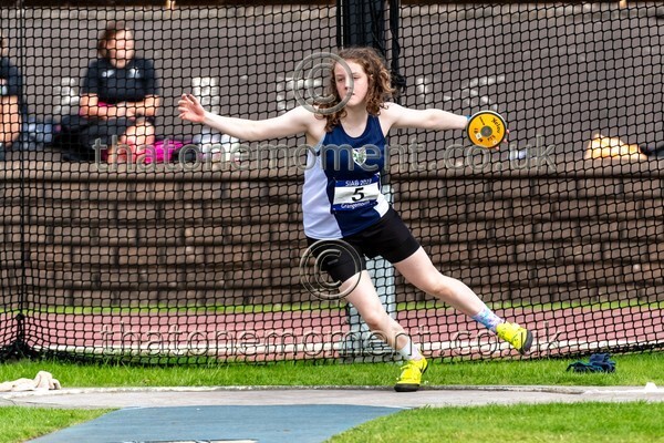 SIAB23-528724 - Field Female Set Two