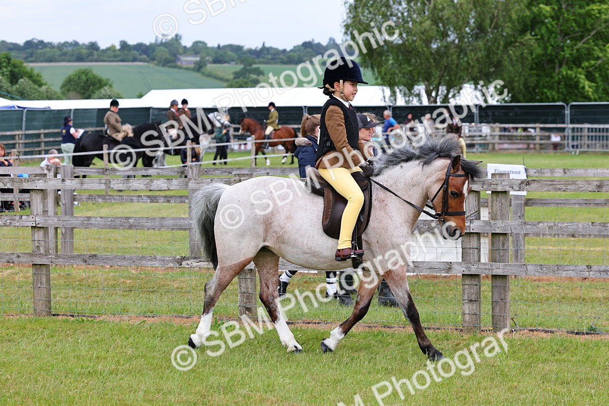 SBM_08552 - Class 42-43 - LIHS BSPS Heritage Working Sports Pony