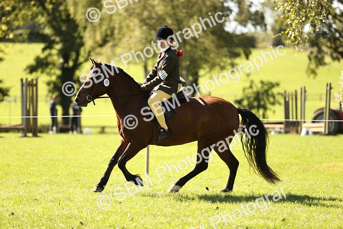 SBM_19167 - S3 - TSR Ridden Pony Showing