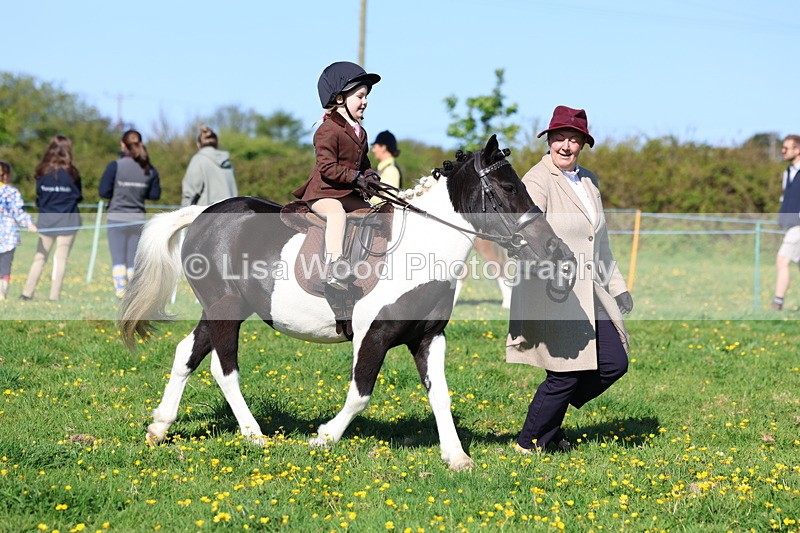 3E7A8861 - Class 2: Lead rein