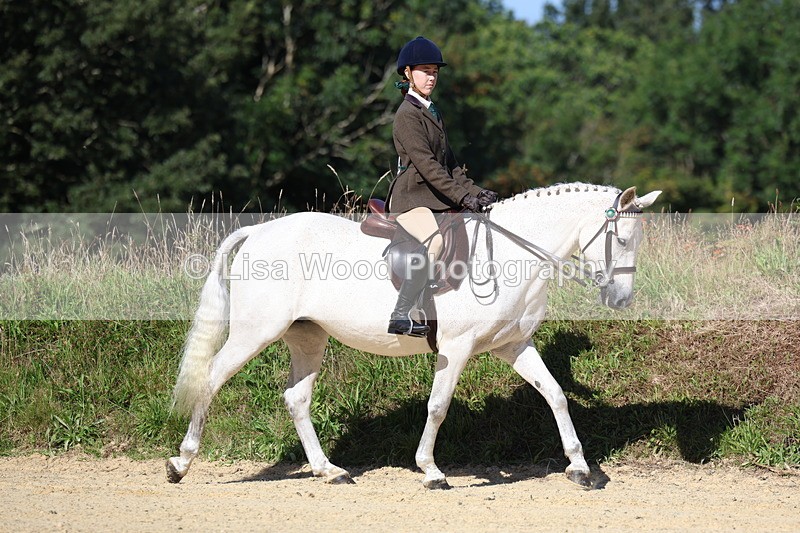 3E7A7888 - Class 14: Tack and Turnout