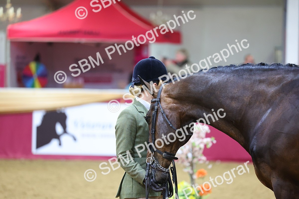 SBM_20846 - Class 902 - Supreme Final IH Veteran