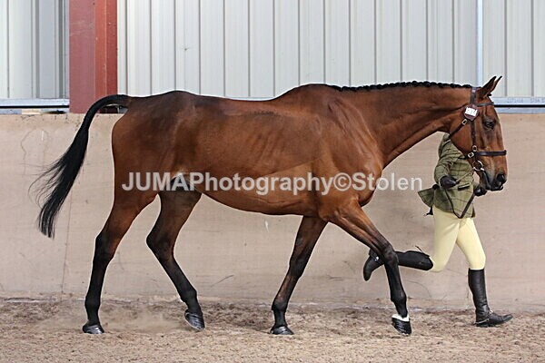 SIAL9806 - Indoor Classes