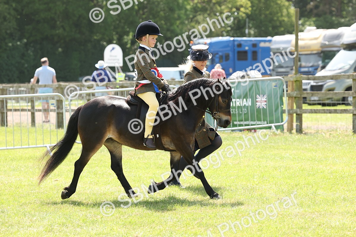 SBM_05425 - Class 24-25 - Mountain & Moorland In Hand Lead Rein and First Ridden