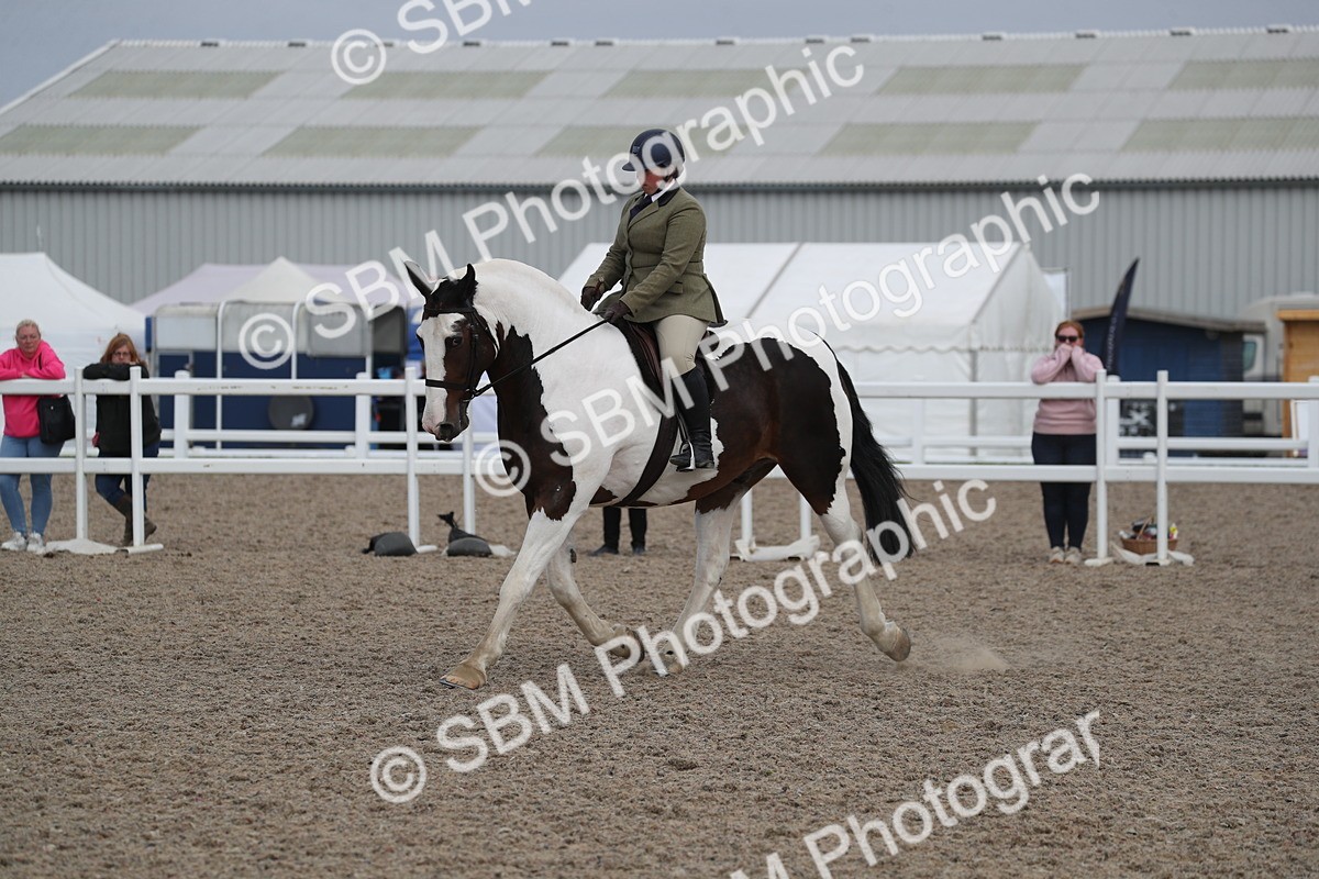 SBM_17373 - Class 315 Best Horse/Rider Combination