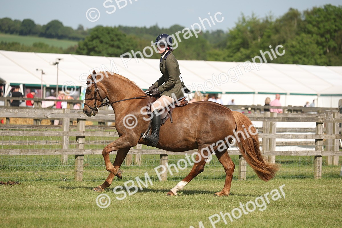 SBM_09783 - Class 33-38 - SSADL RIHS Qualifiers