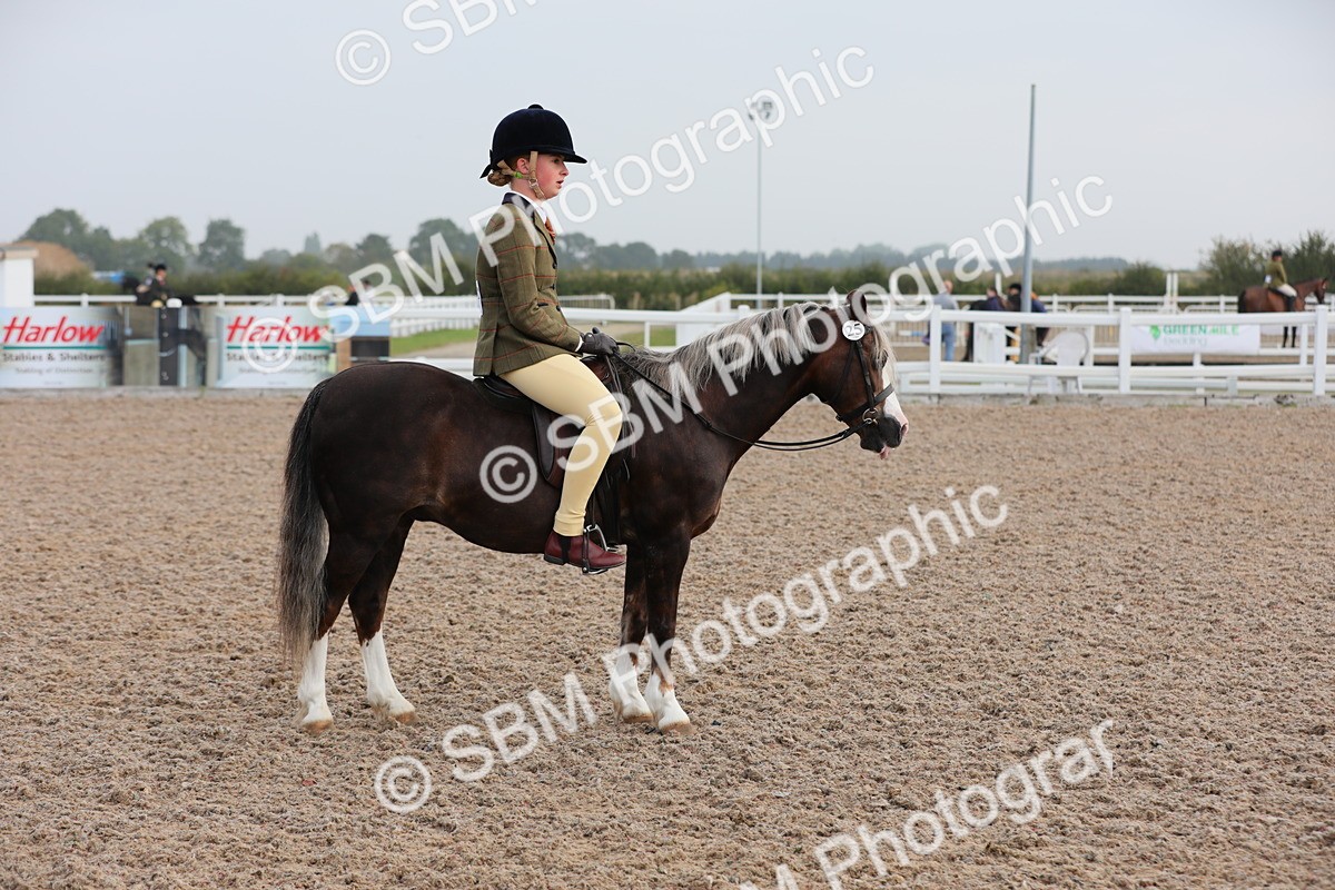 SBM_09639 - Class 301 Ridden M&M -Small Breeds