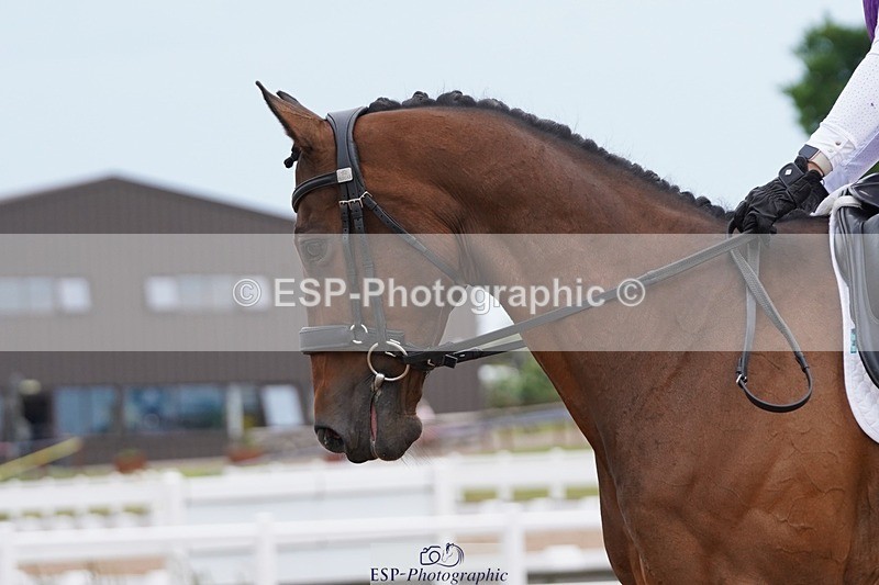 250621-092824-05524 - Quest Cls 1-5, Intro All