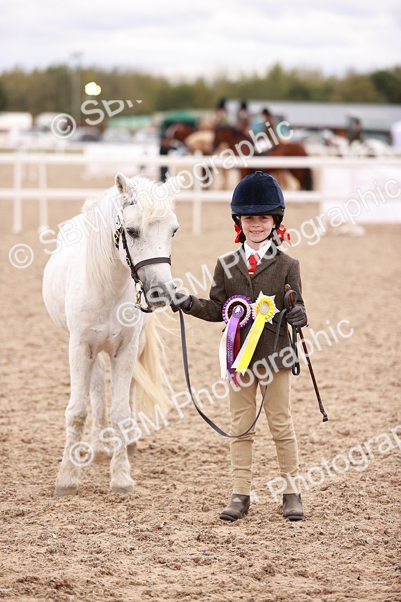 SBM_18618 - Class 421 - Childs Best Friend - Jnr