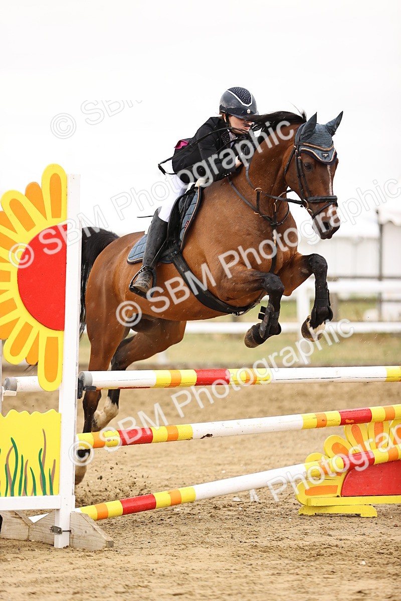 SBM_024824 - Class 9 - Senior British Novice - 90cm