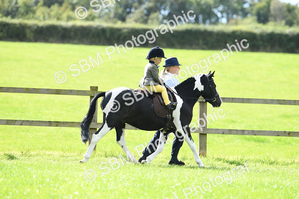 SBM_41158 - S19 - Lead Rein Show & Show Hunter Pony