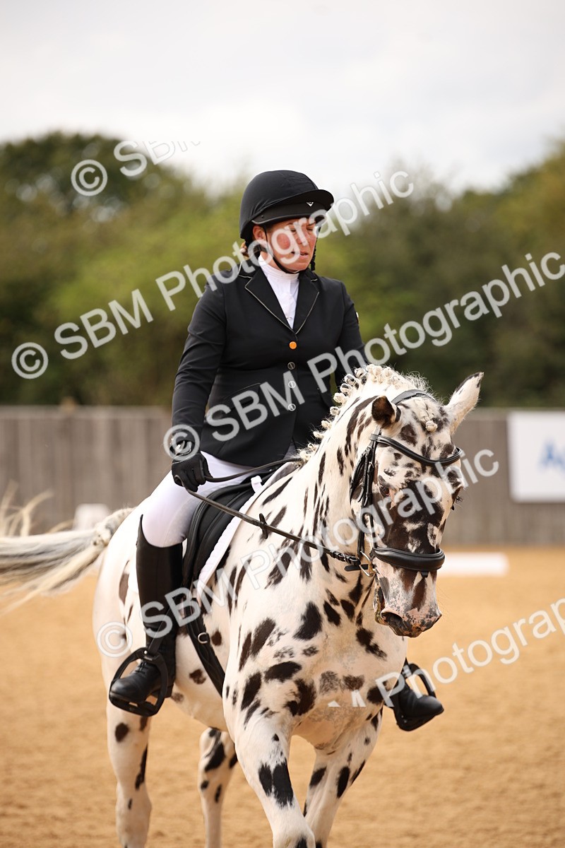 SBM_12295 - D3 Small  Tour Championship Intro A