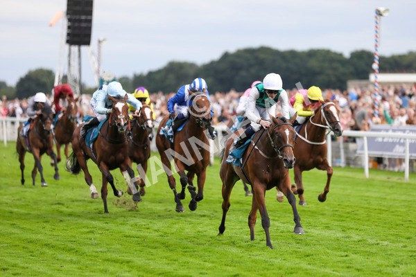 280723-Race 5-Midnight Mile-2922 - Race 5 7.15pm British EBF 40th Anniversary Lyric Fillies' Stakes