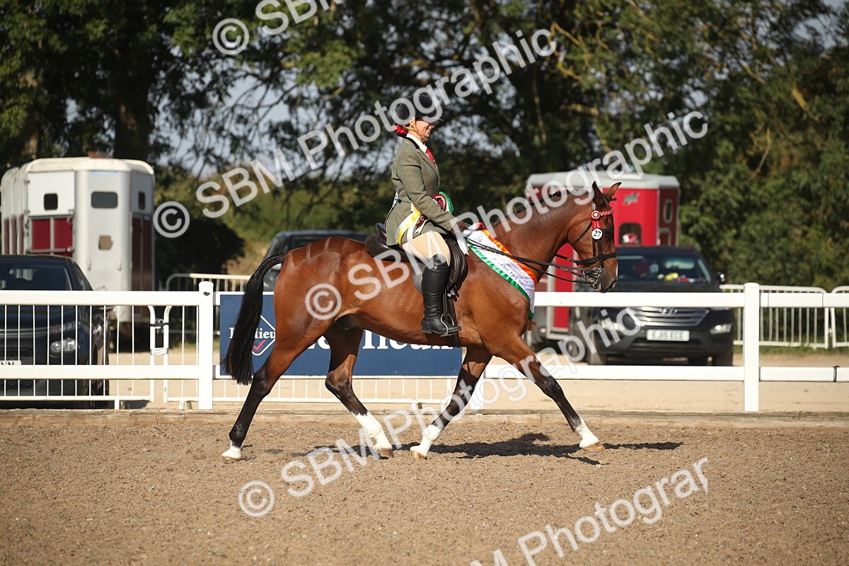 SBM_22743 - Class 601 - 2026 - Area - Ridden Diamond