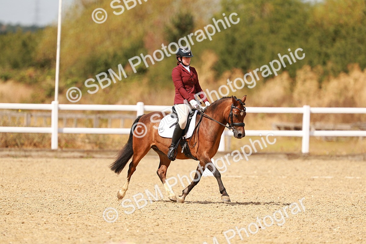 SBM_018636 - Class 9 - N5 Bronze 11.57.13.07