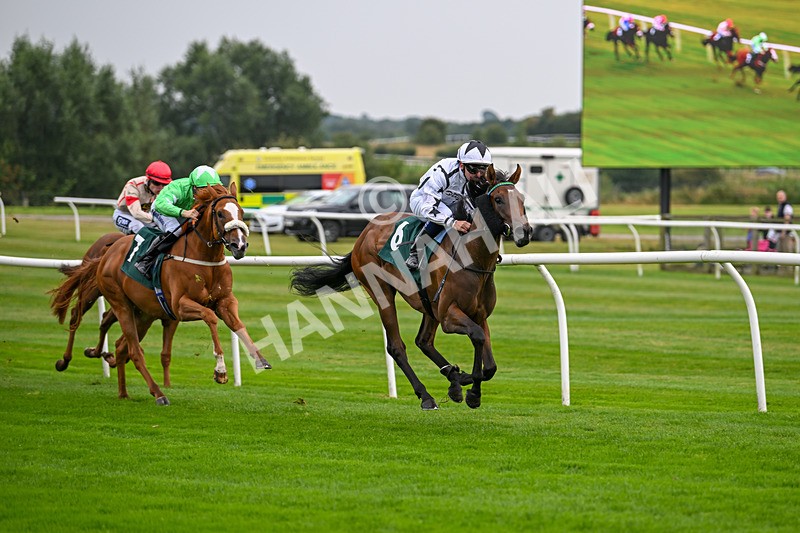 280824-Race 1-Nala Star-3937 - Race 1