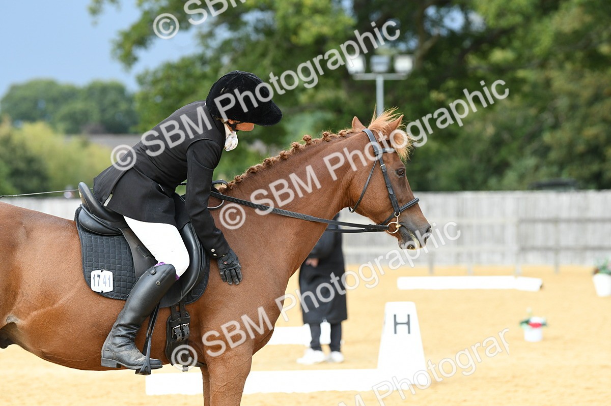 SBM_10988 - D28 Elementary Taster Elementary 42