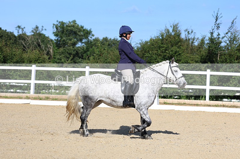 3E7A2844 - Class 1: Intro 3 2024 - Section A
