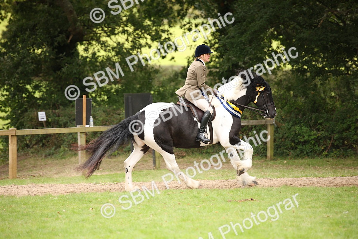 SBM_73662 - Ridden Horse Supreme Championship