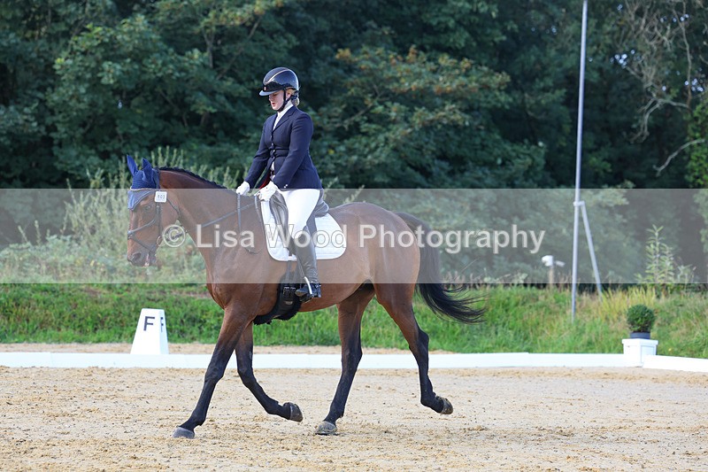 3E7A2516 - Class 1: Intro 4 2024 section A