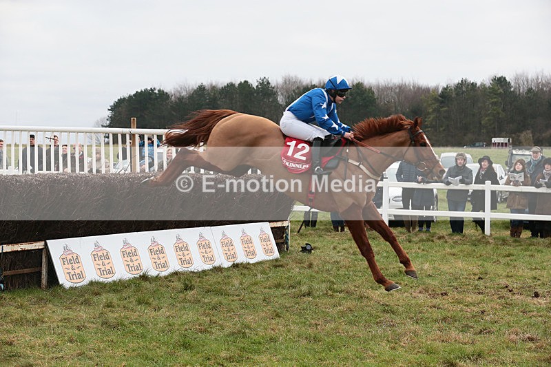 PtP 060119 132 - Larkhill Racing Club - Point-to-Point- 06/01/2019