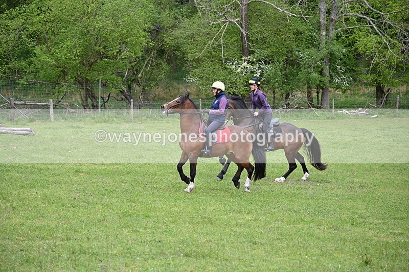 WJ6_3504 - Group 7 A camera ?