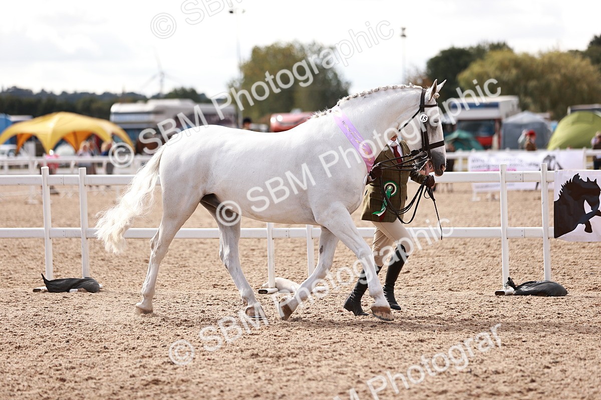 SBM_13381 - class 406 - IH Hunter