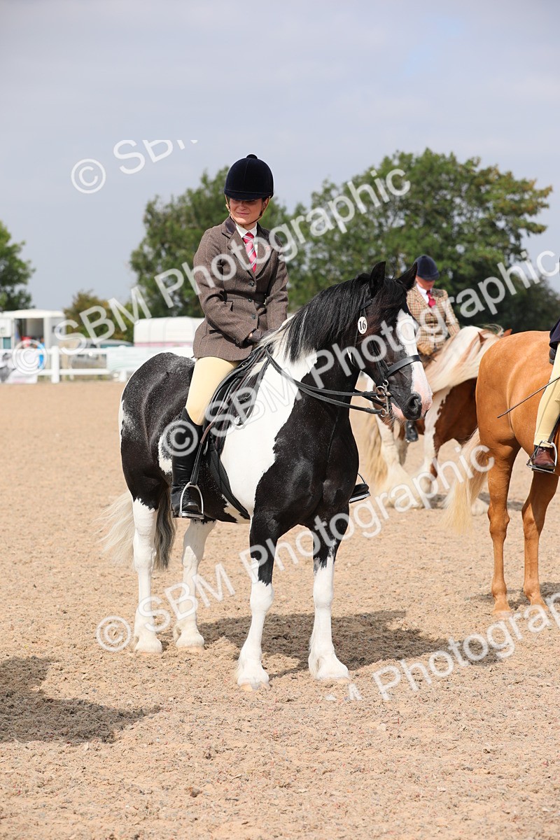 SBM_12840 - Class 307 Ridden Coloured Pony