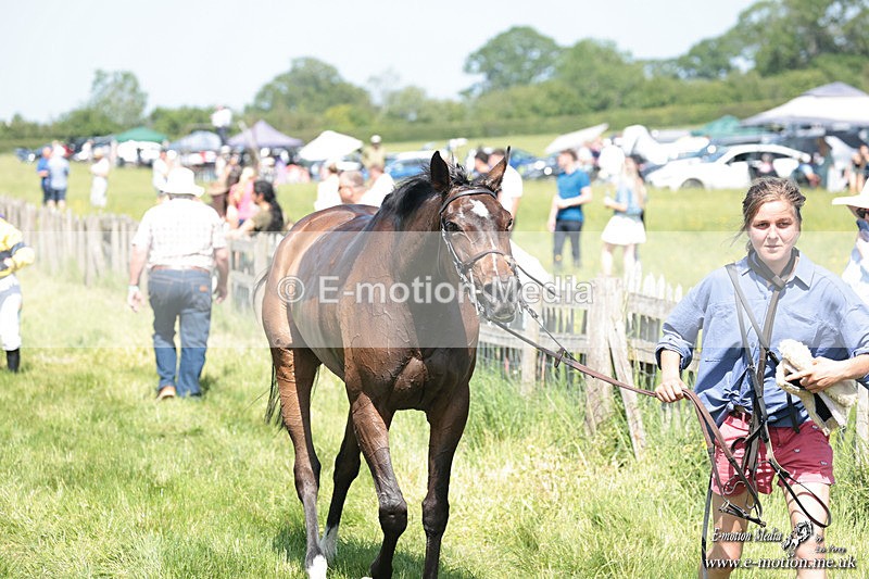 PtP 250526 233 - Albrighton & Woodland PtP Chaddesley Corbett 25/05/26