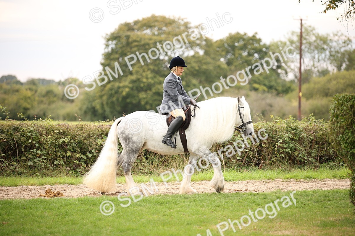 SBM_73404 - S68 - Traditional Cob Ridden