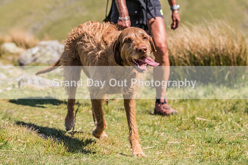 Glaramara-201 - Glaramara Fell Race Saturday 17th May 2025