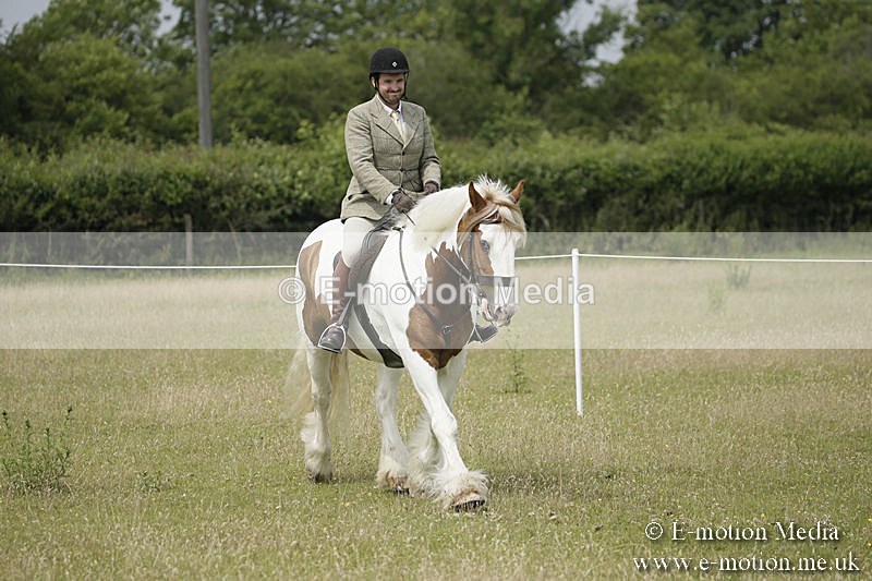 B230619-0429 - Bourne Valley Riding Club Summer Show 23/06/19