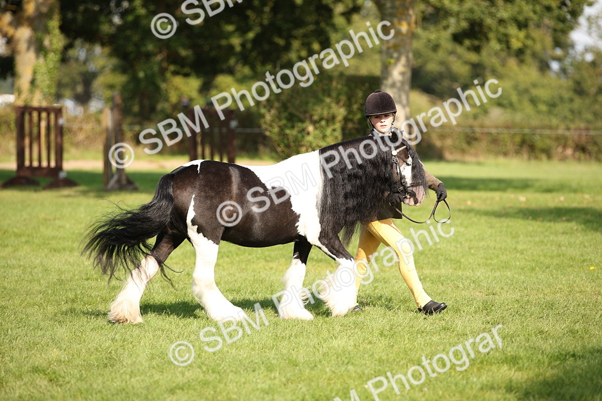SBM_62226 - S55 - Traditional Cob In Hand