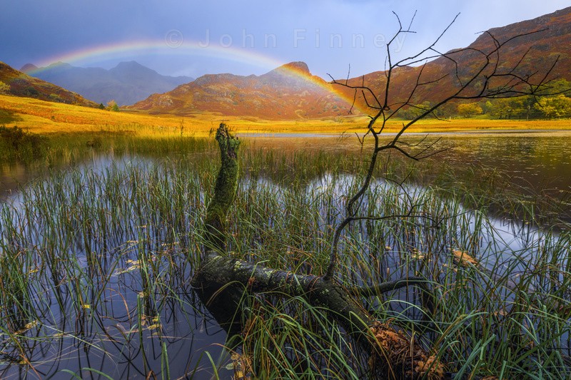 Autumn light on Blea Tarn - Lake District & Cumbria