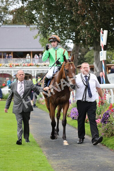 yr24092021r3-40 - Race 3 2.40pm WilliamHill.com Best Odds Guaranteed Stakes