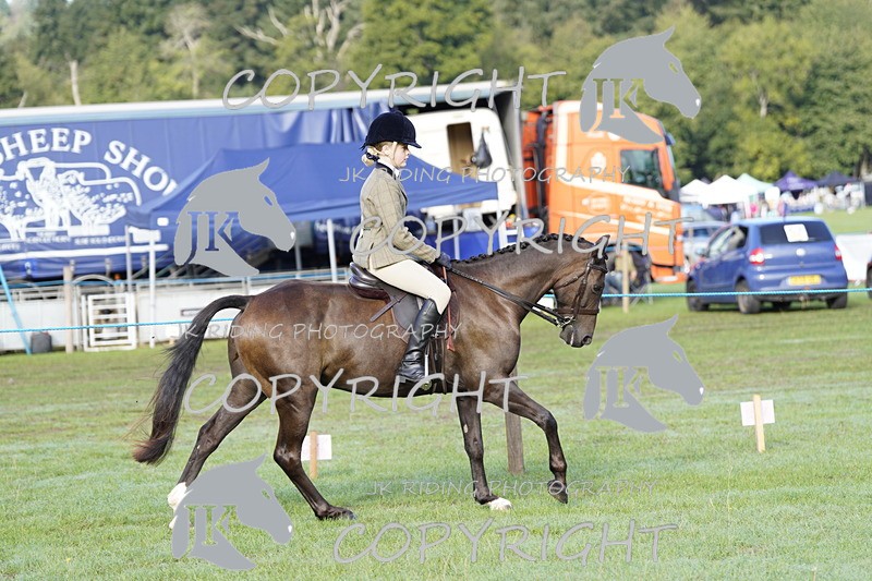 _DSC9340 - Class 8 & 17 Ridden Hunter & Ridden Hunter Pony
