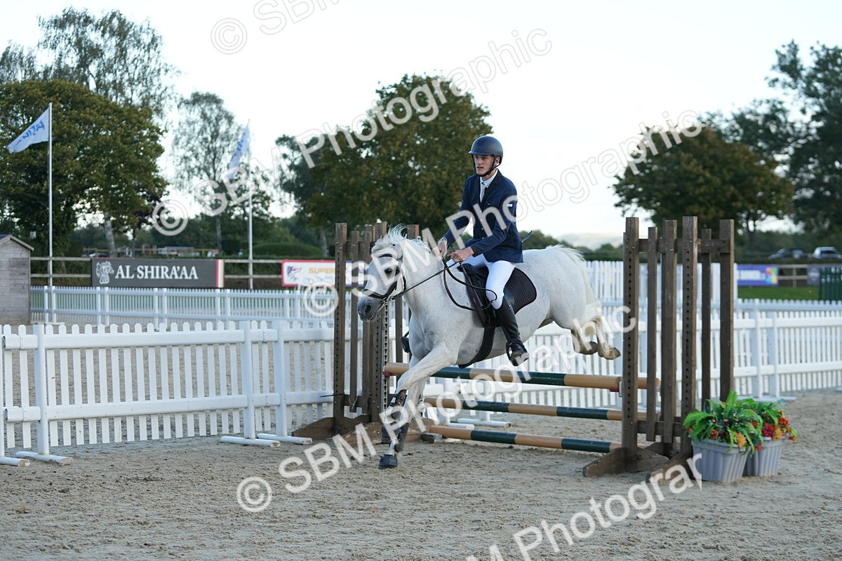 SBM_54183 - Supreme Championship 60cm 65cm