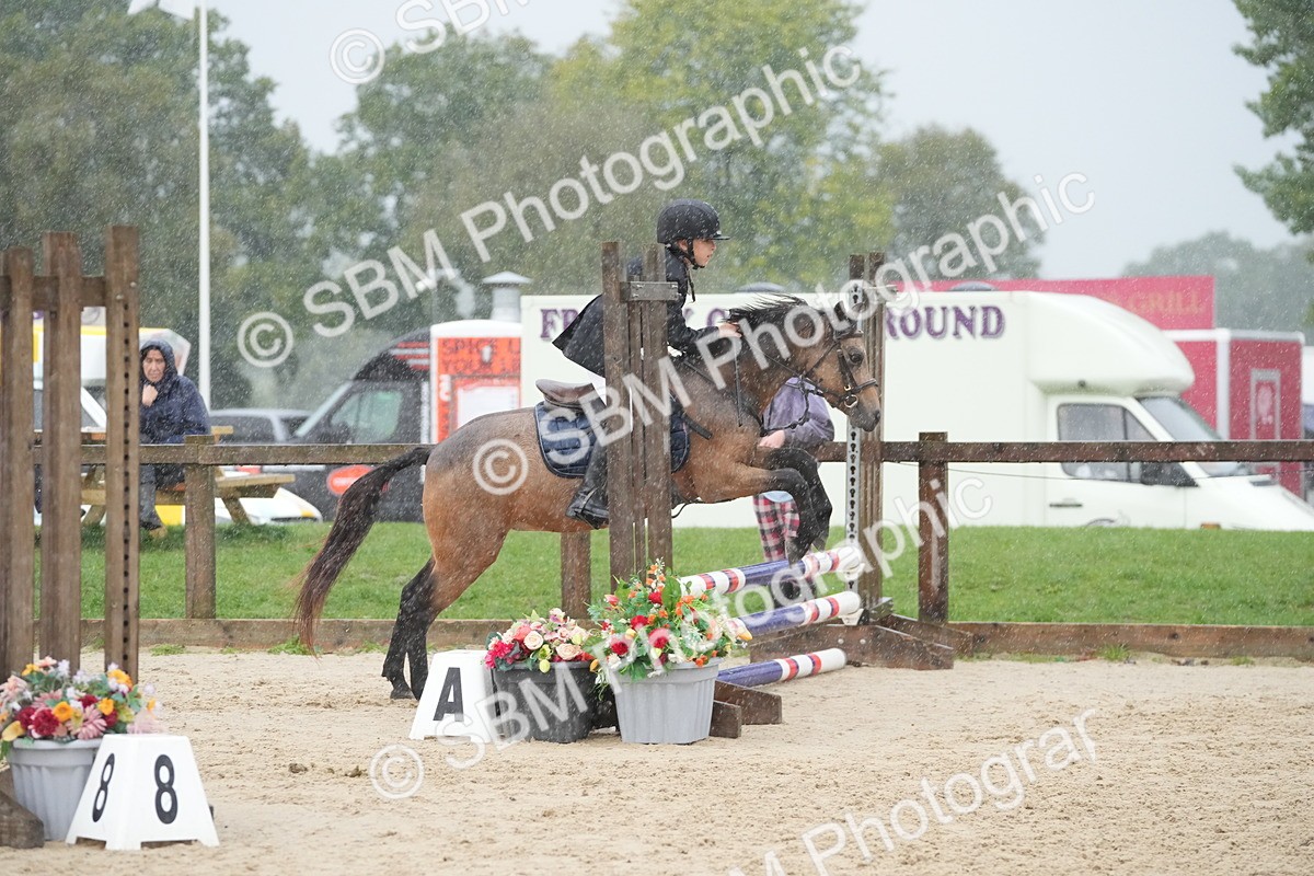 SBM_33509 - J5 - Junior Pony 50cm Championship