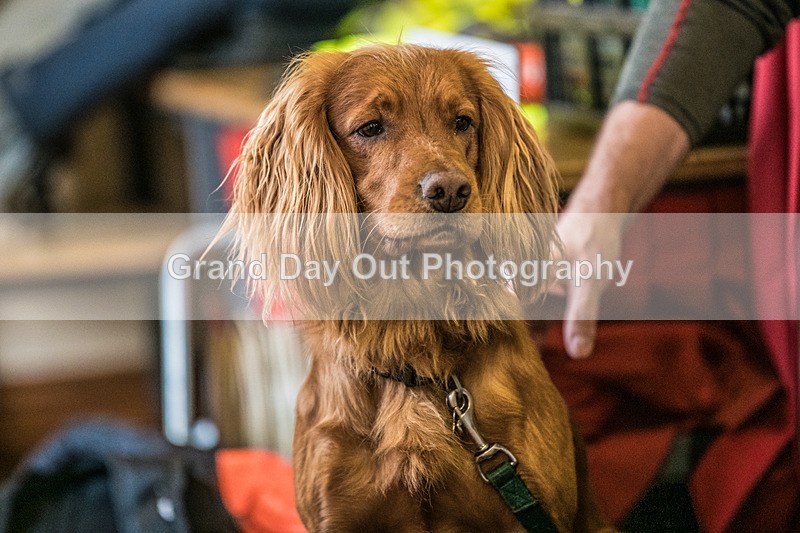 Stybarrow Dodd-11 - Kong Running Stybarrow Dodd Fell Race Saturday 29th November 2025