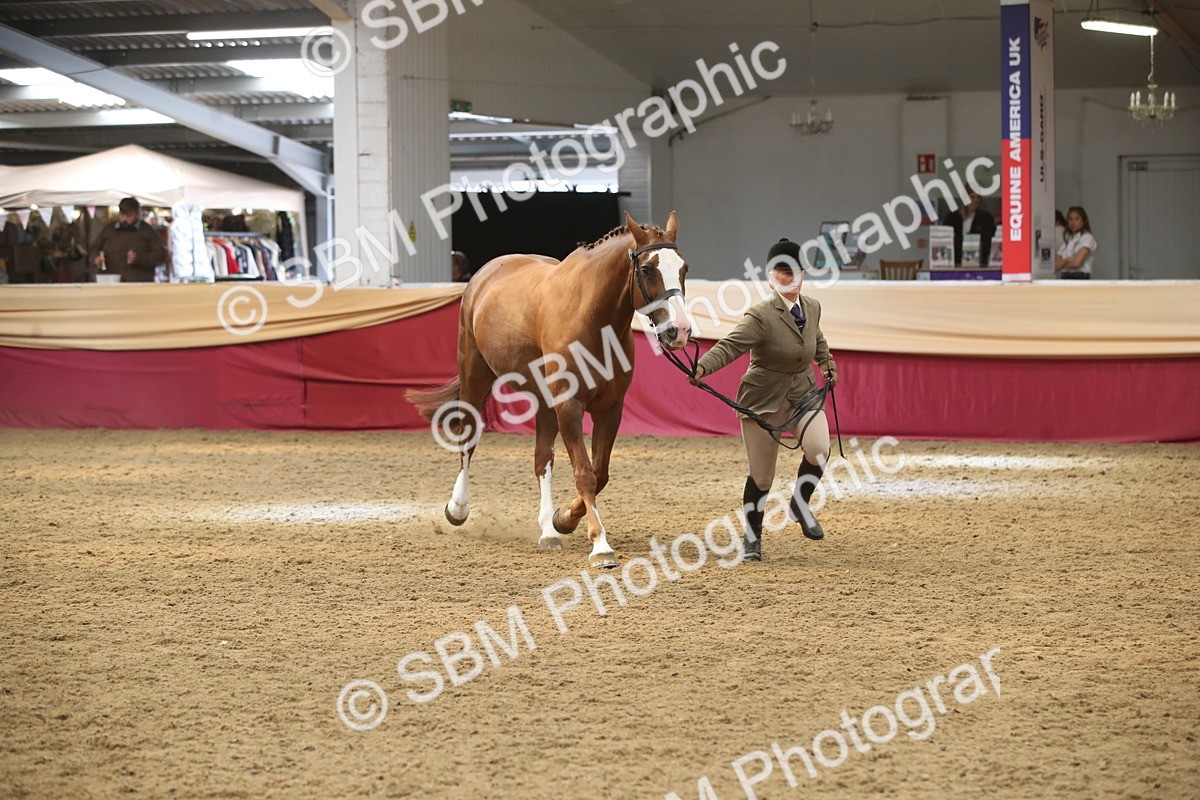 SBM_05662 - Class 9R - Regional IH Pre-Vet