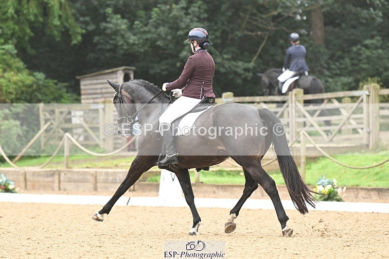 240811-095754-04914 - 148-Sophia.Marston-Solitaire.ll