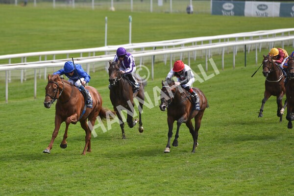 yr13052021r4-35 - Race 4 3.10pm Al Basti Equiworld Dubai Dante Stakes